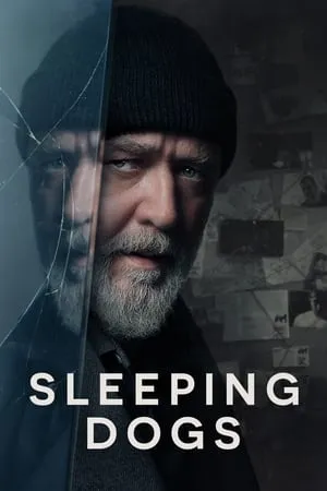 HDMovies4u Sleeping Dogs 2024 English Full Movie WEB-DL 480p 720p 1080p Download